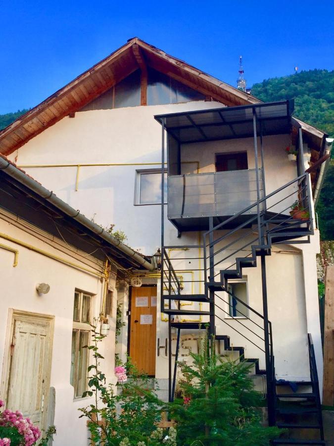 Downtown Hostel Brašov Exteriér fotografie